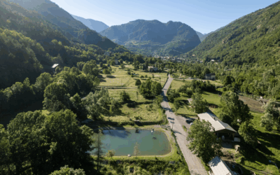 Défrichement : rappel de la réglementation dans les Alpes-Maritimes