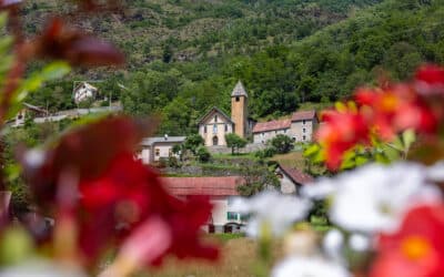 Le Bourguet