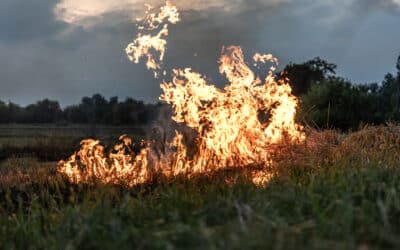 🔥 Prévention des incendies : adoptons les bons réflexes